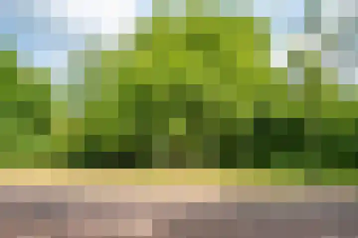 Trompenburg 12 Heiloo thumbnail 52
