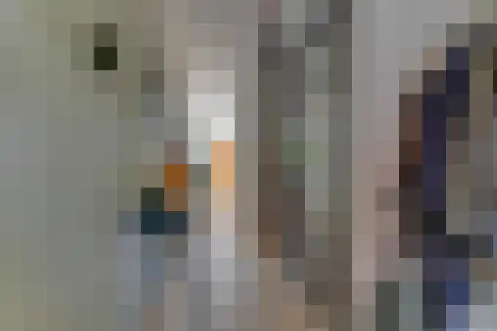 Trompenburg 12 Heiloo thumbnail 8