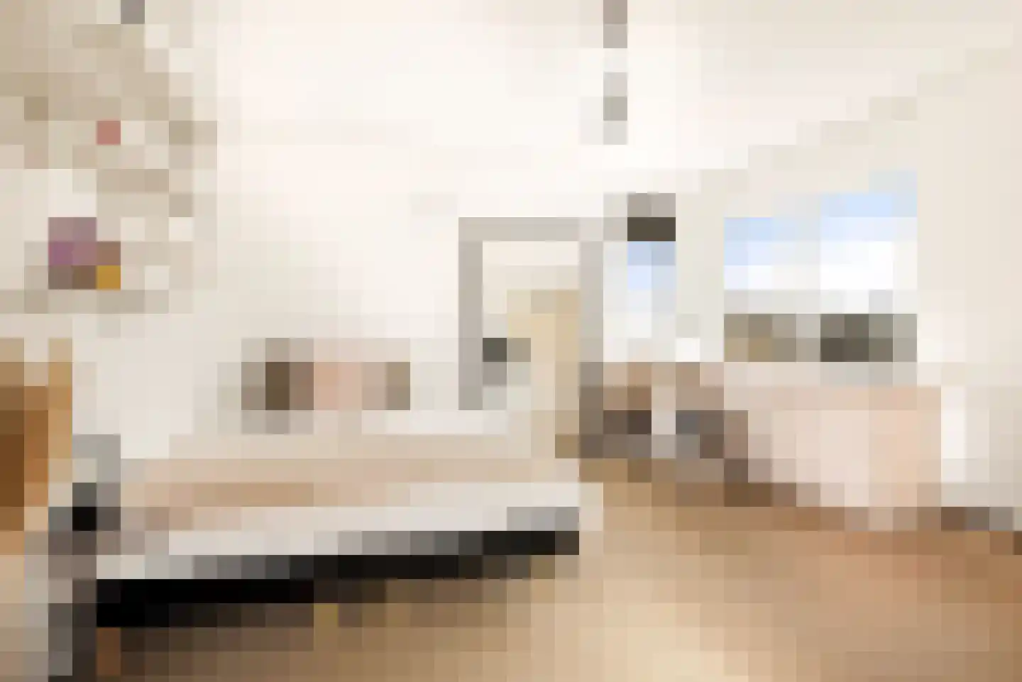 Trompenburg 13 Hoofddorp thumbnail 35