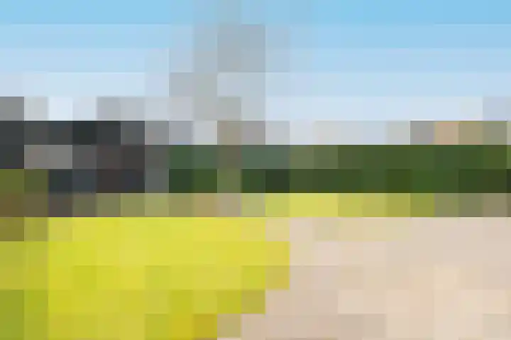 Trompenburg 17 Zeewolde thumbnail 52