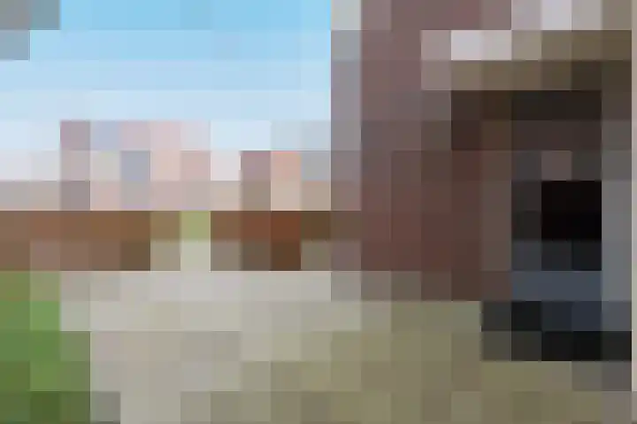 Trompenburg 17 Zeewolde thumbnail 61