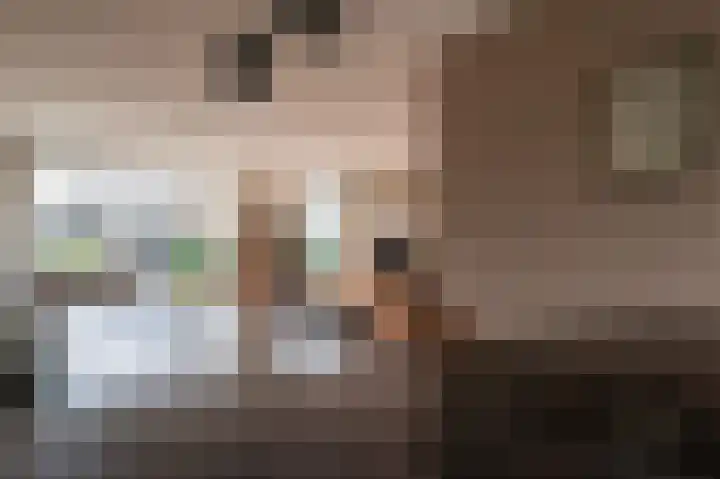 Trompenburg 17 Zeewolde thumbnail 9