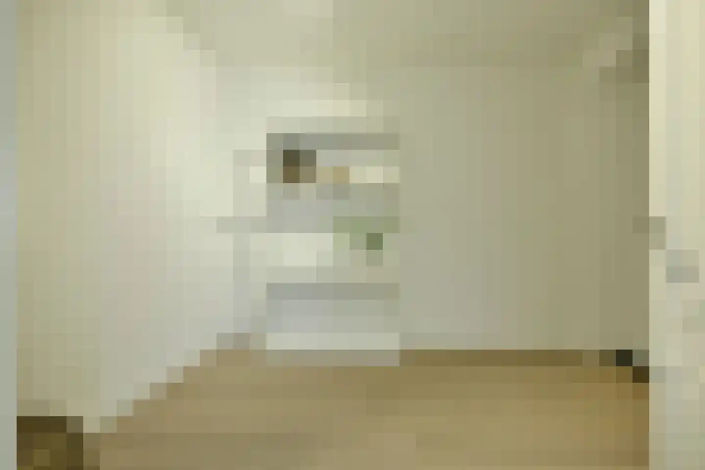 Trompenburg 2 Amstelveen thumbnail 17