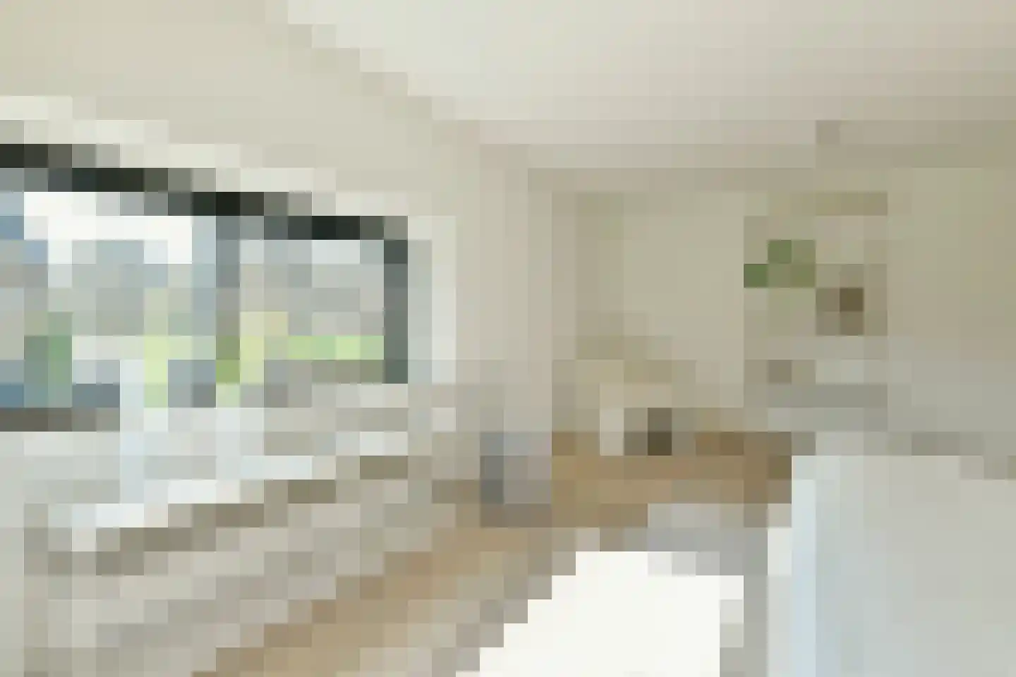 Trompenburg 2 Amstelveen thumbnail 24