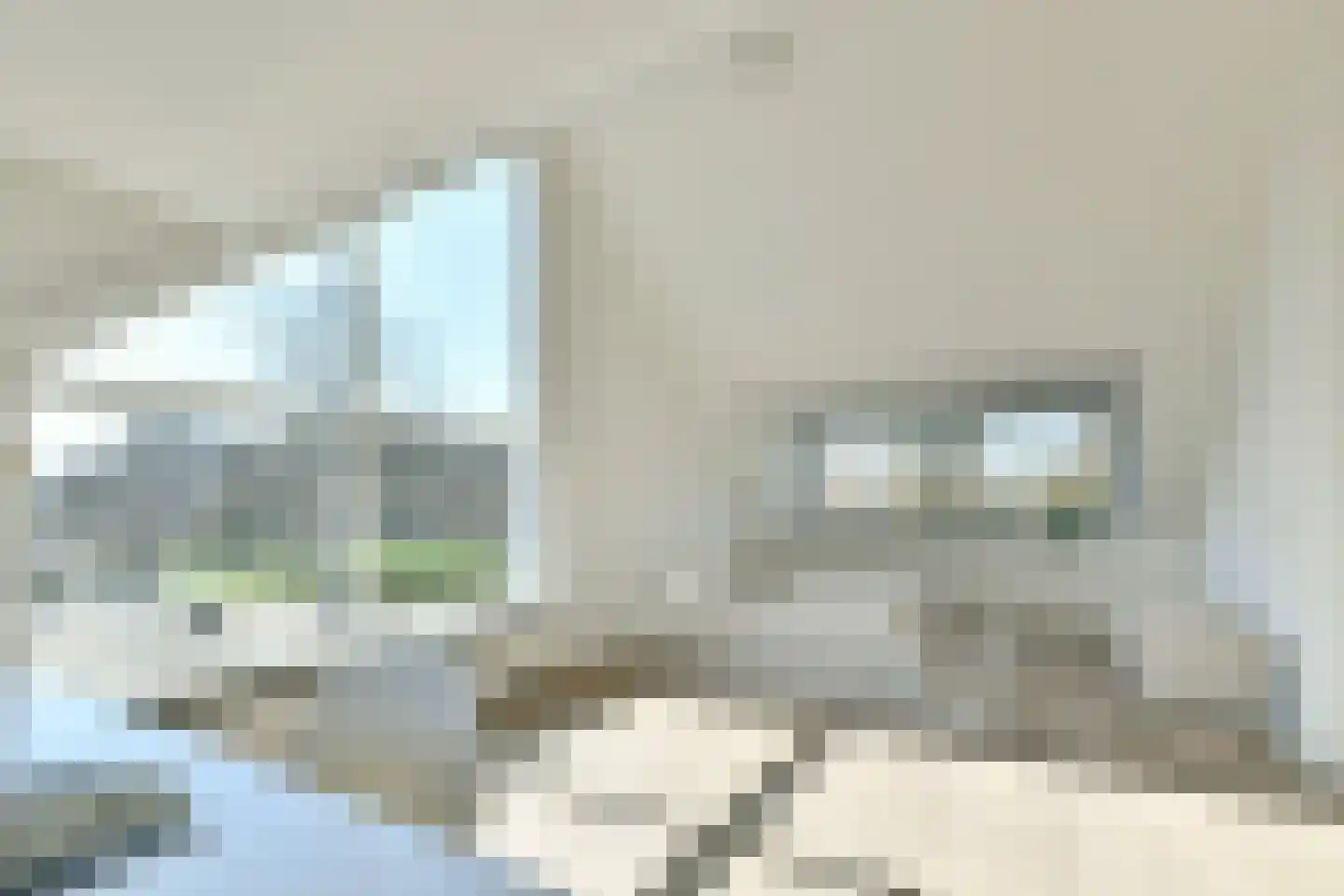 Trompenburg 2 Amstelveen thumbnail 33