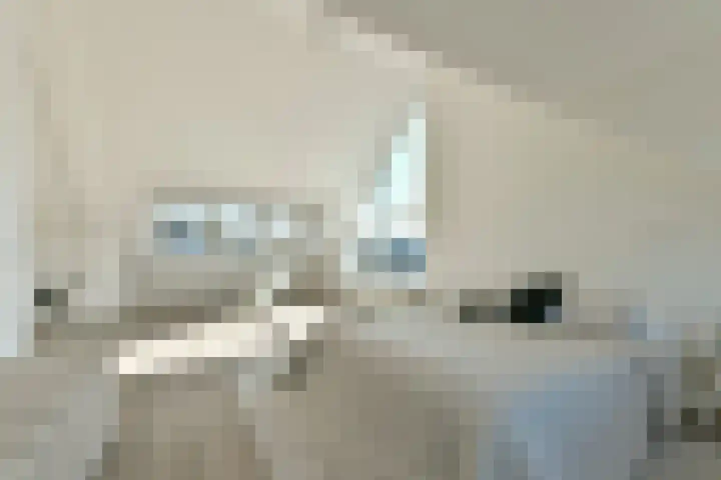 Trompenburg 2 Amstelveen thumbnail 34