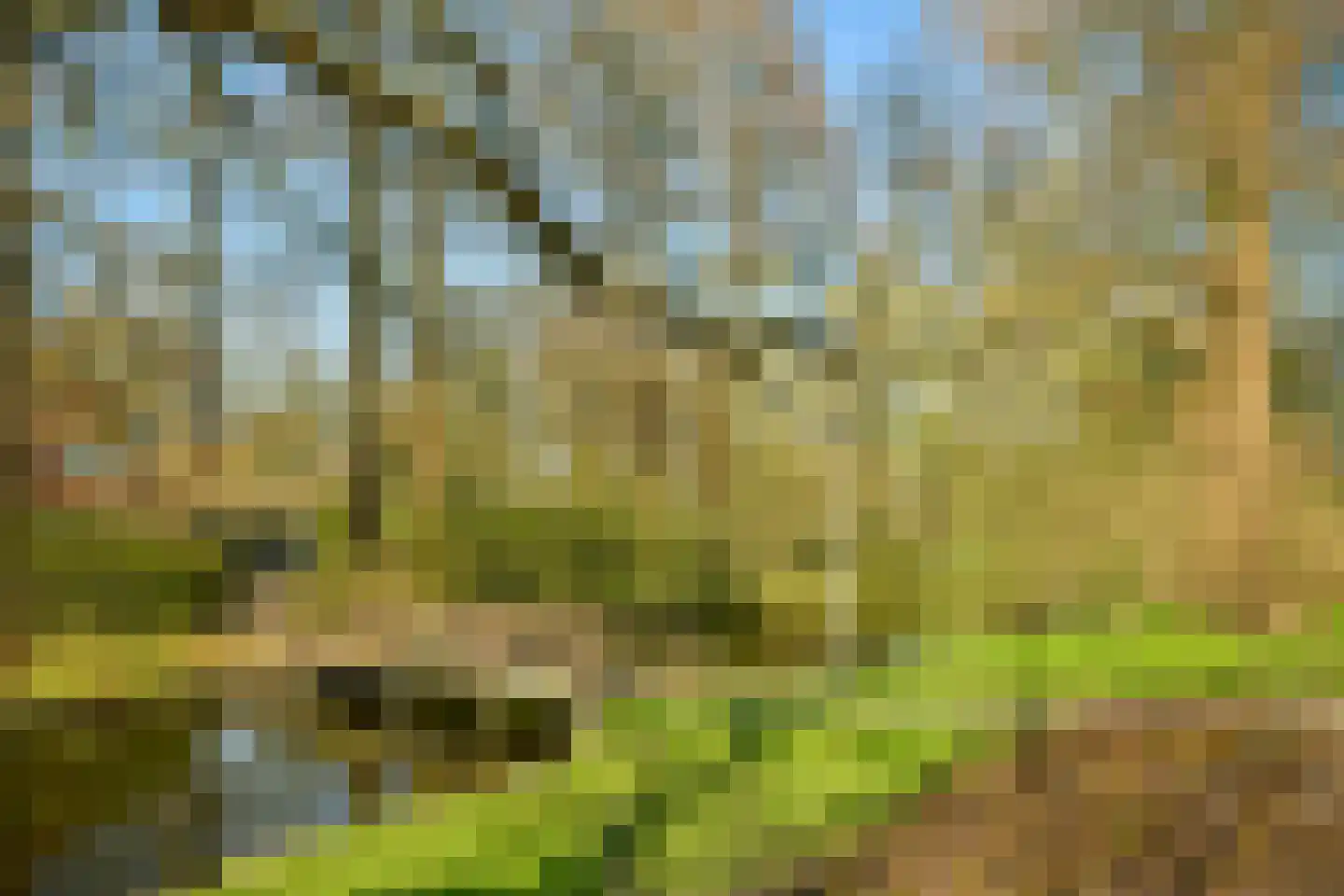 Trompenburg 2 Amstelveen thumbnail 44