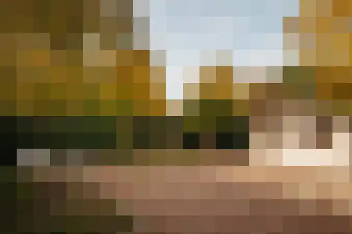 Trompenburg 4 Amstelveen thumbnail 11