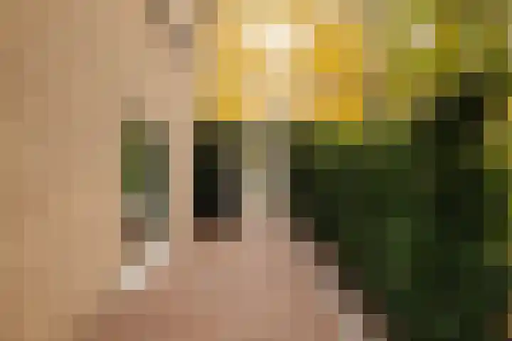 Trompenburg 4 Amstelveen thumbnail 13
