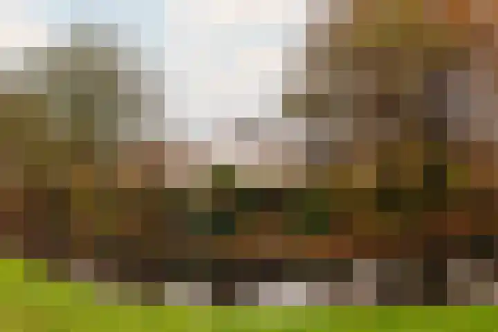 Trompenburg 4 Amstelveen thumbnail 25