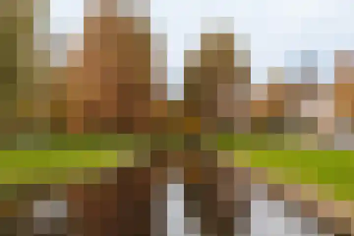 Trompenburg 4 Amstelveen thumbnail 26