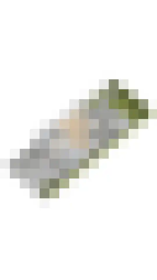Trompenburg 4 Amstelveen thumbnail 32