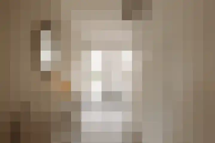 Trompenburg 4 Amstelveen thumbnail 4