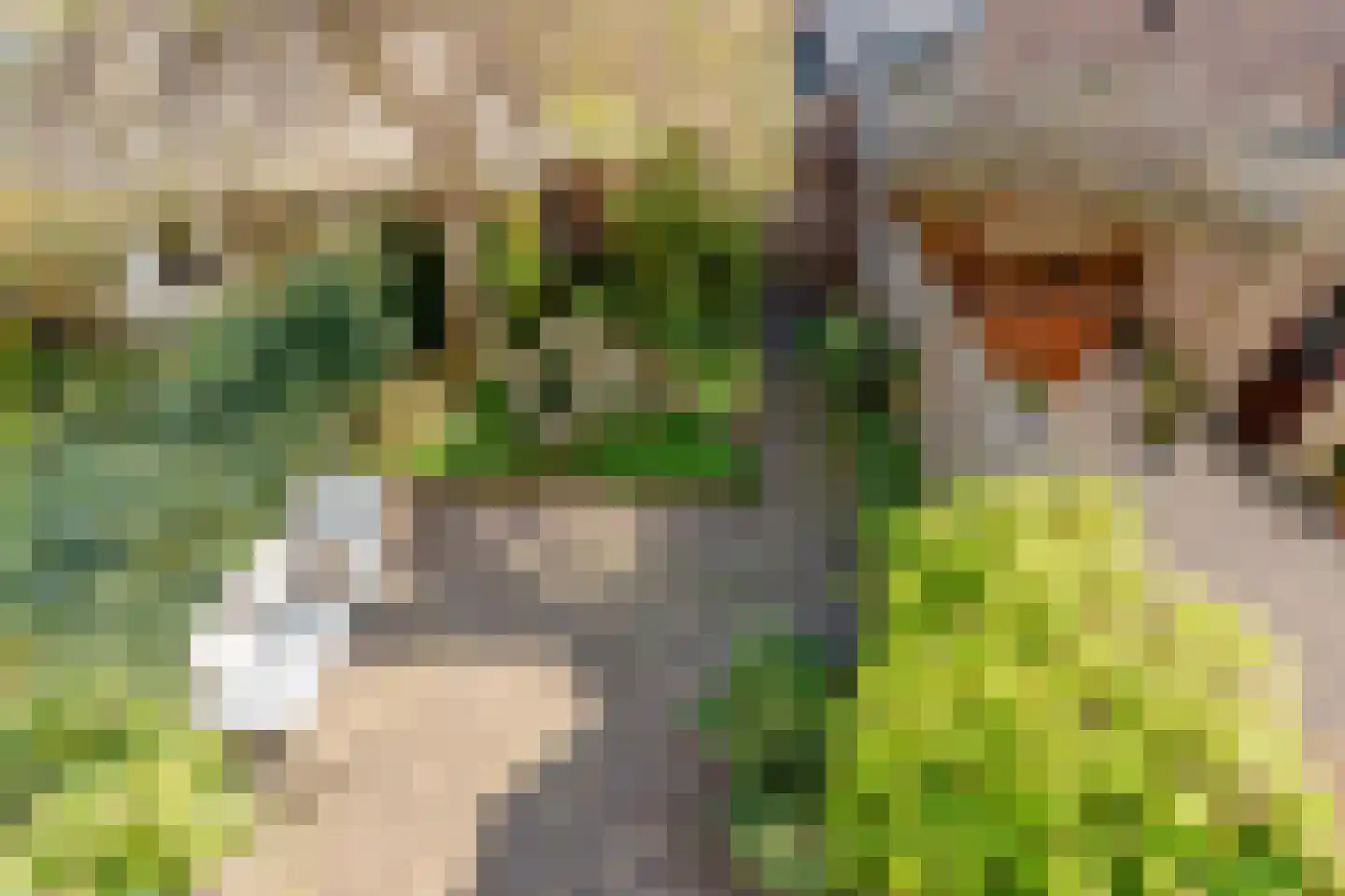 Trompenburg 53 Amstelveen thumbnail 16
