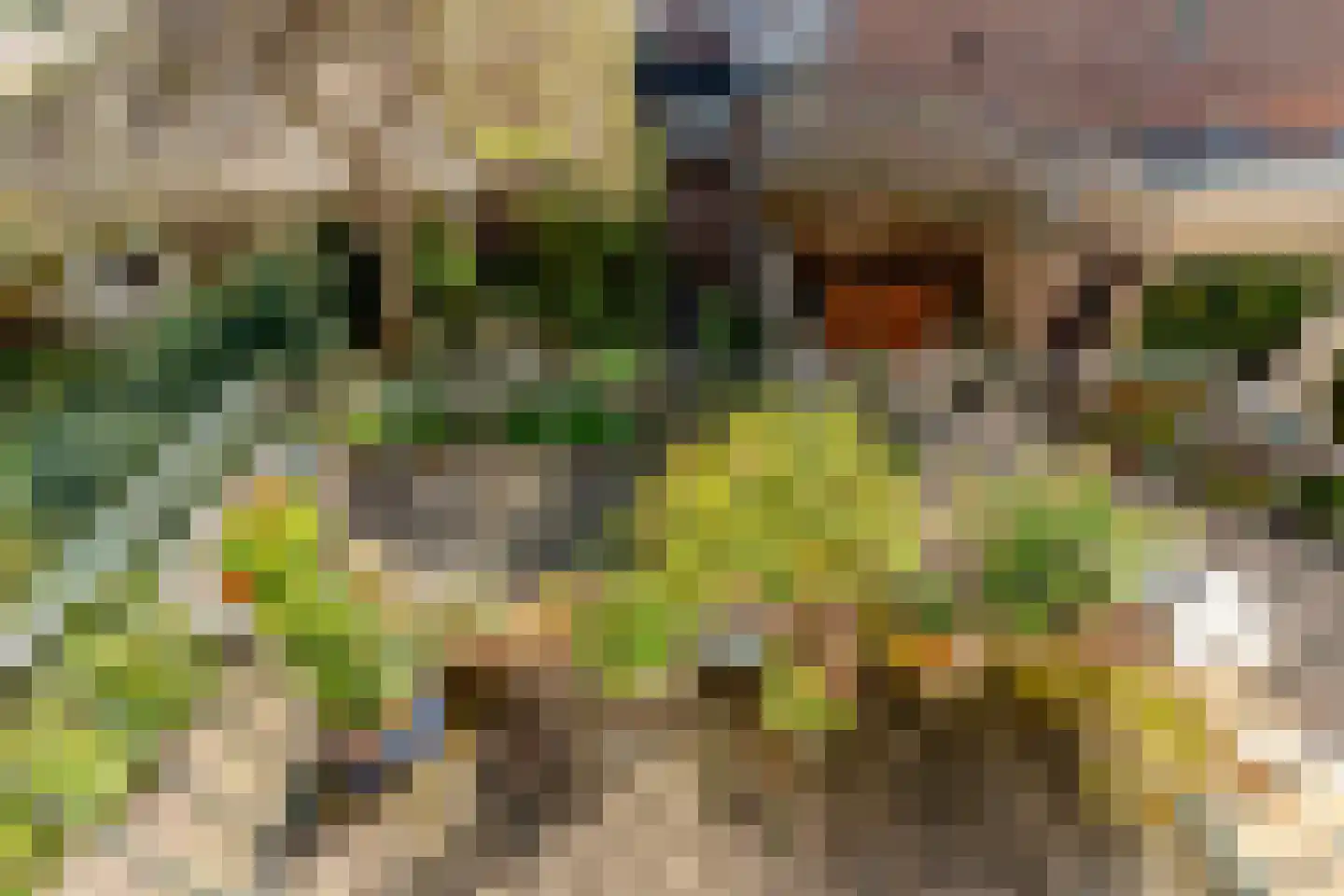 Trompenburg 53 Amstelveen thumbnail 20