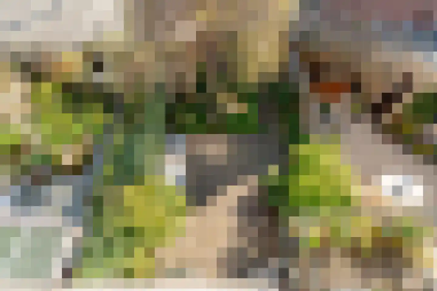 Trompenburg 53 Amstelveen thumbnail 29