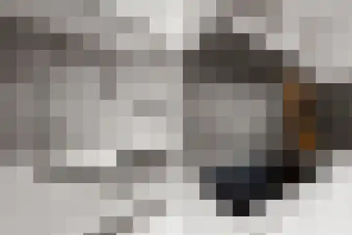 Trompenburg 6 Zeewolde thumbnail 11