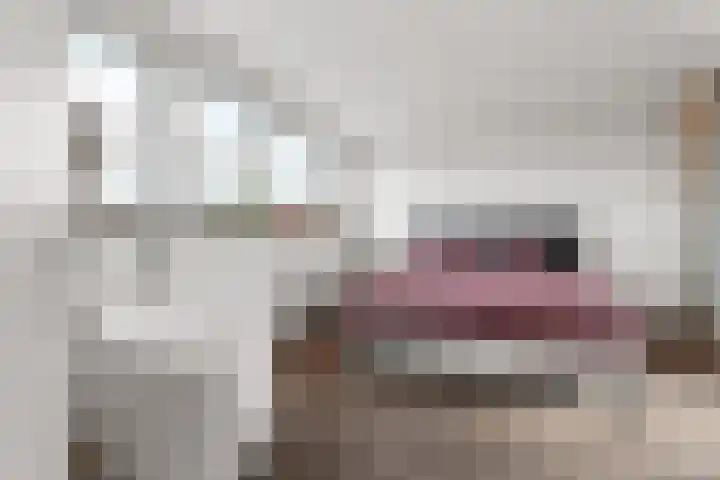 Trompenburg 6 Zeewolde thumbnail 33