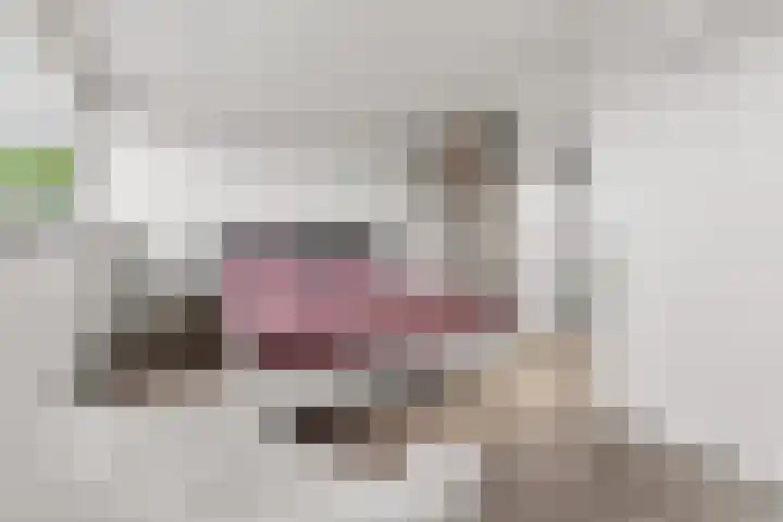 Trompenburg 6 Zeewolde thumbnail 34