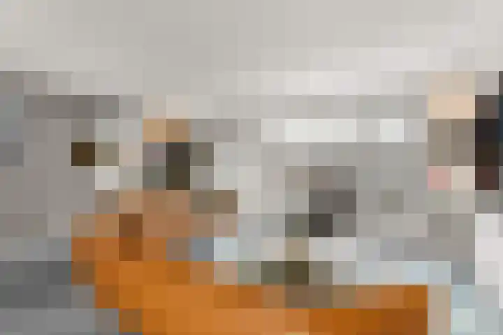Trompenburg 6 Zeewolde thumbnail 4