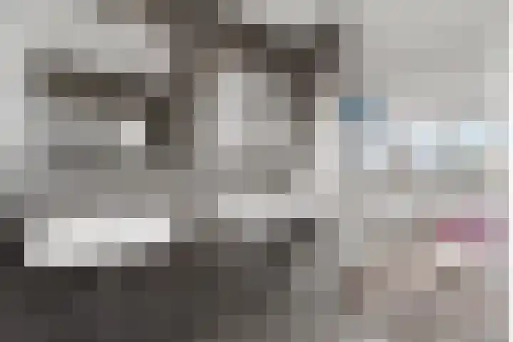 Trompenburg 6 Zeewolde thumbnail 40