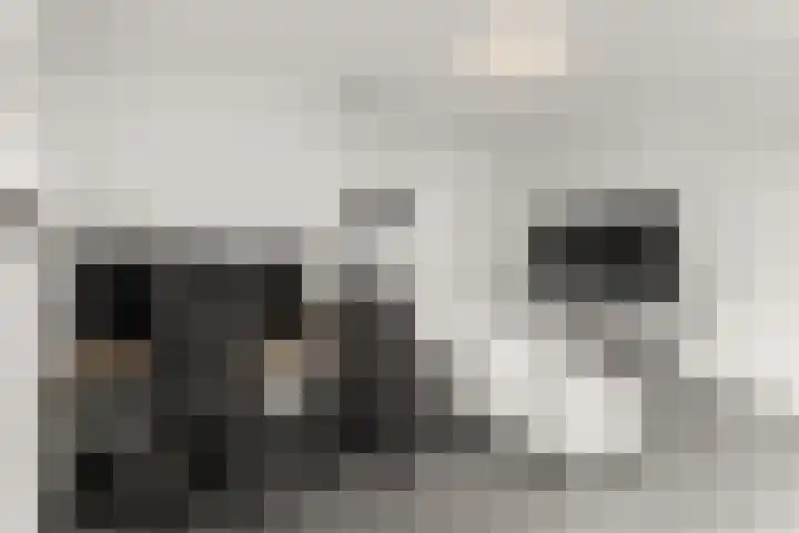 Trompenburg 6 Zeewolde thumbnail 41