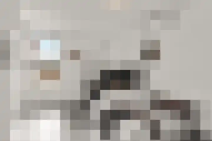 Trompenburg 6 Zeewolde thumbnail 43