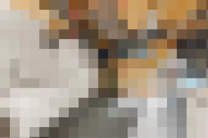 Trompenburg 6 Zeewolde thumbnail 47