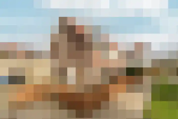 Trompenburg 6 Zeewolde thumbnail 5
