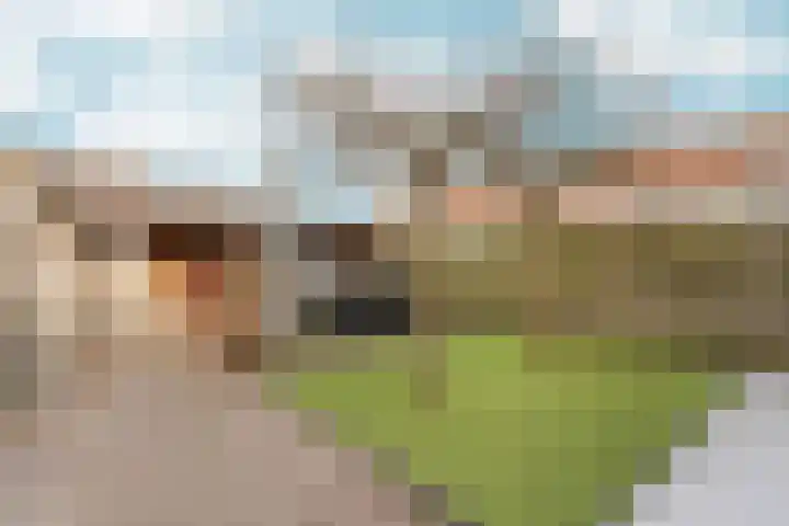 Trompenburg 6 Zeewolde thumbnail 50