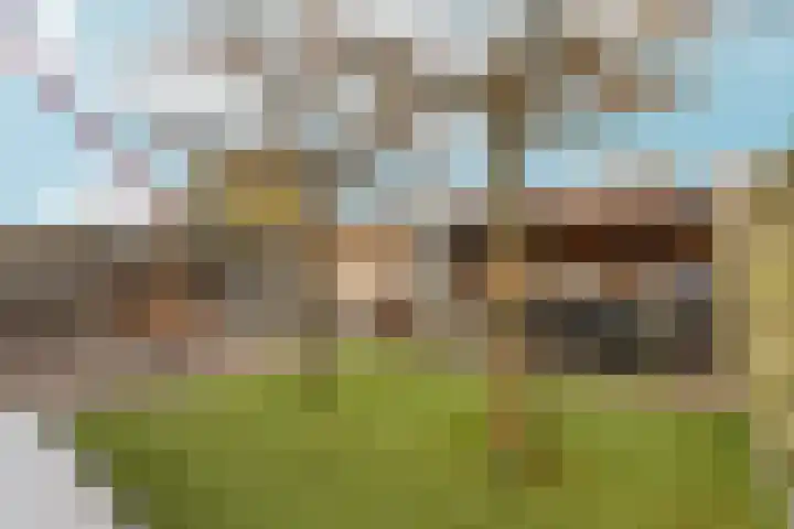 Trompenburg 6 Zeewolde thumbnail 51