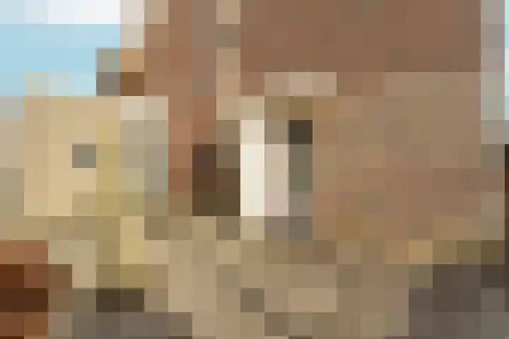 Trompenburg 6 Zeewolde thumbnail 6