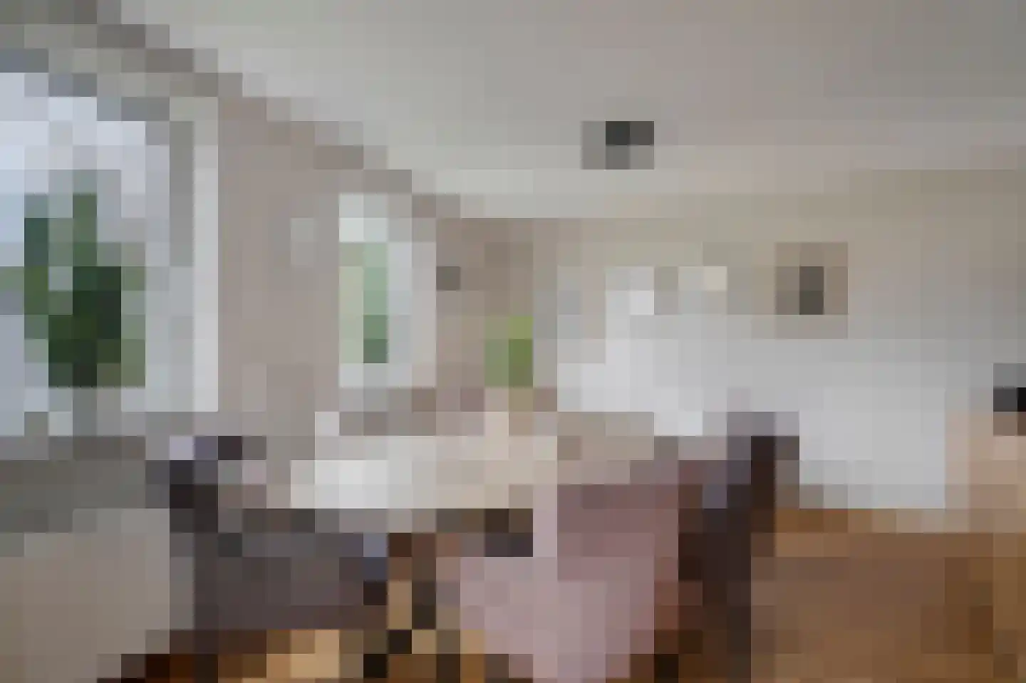 Trompenburg 8 Hoofddorp thumbnail 13
