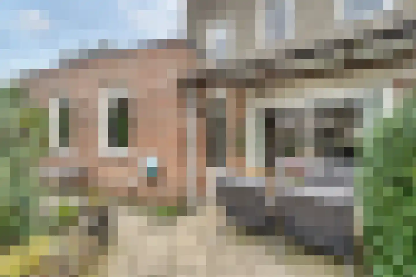 Trompenburg 8 Hoofddorp thumbnail 18