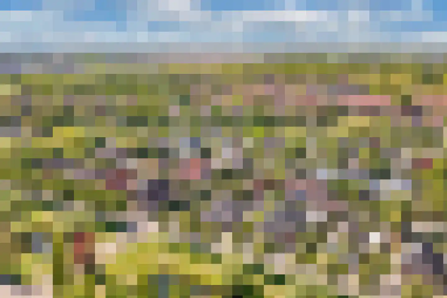 Trompenburgh 22 Lelystad thumbnail 6