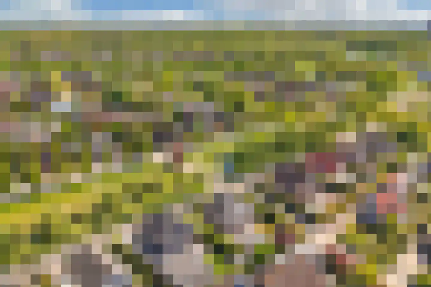 Trompenburgh 22 Lelystad thumbnail 61