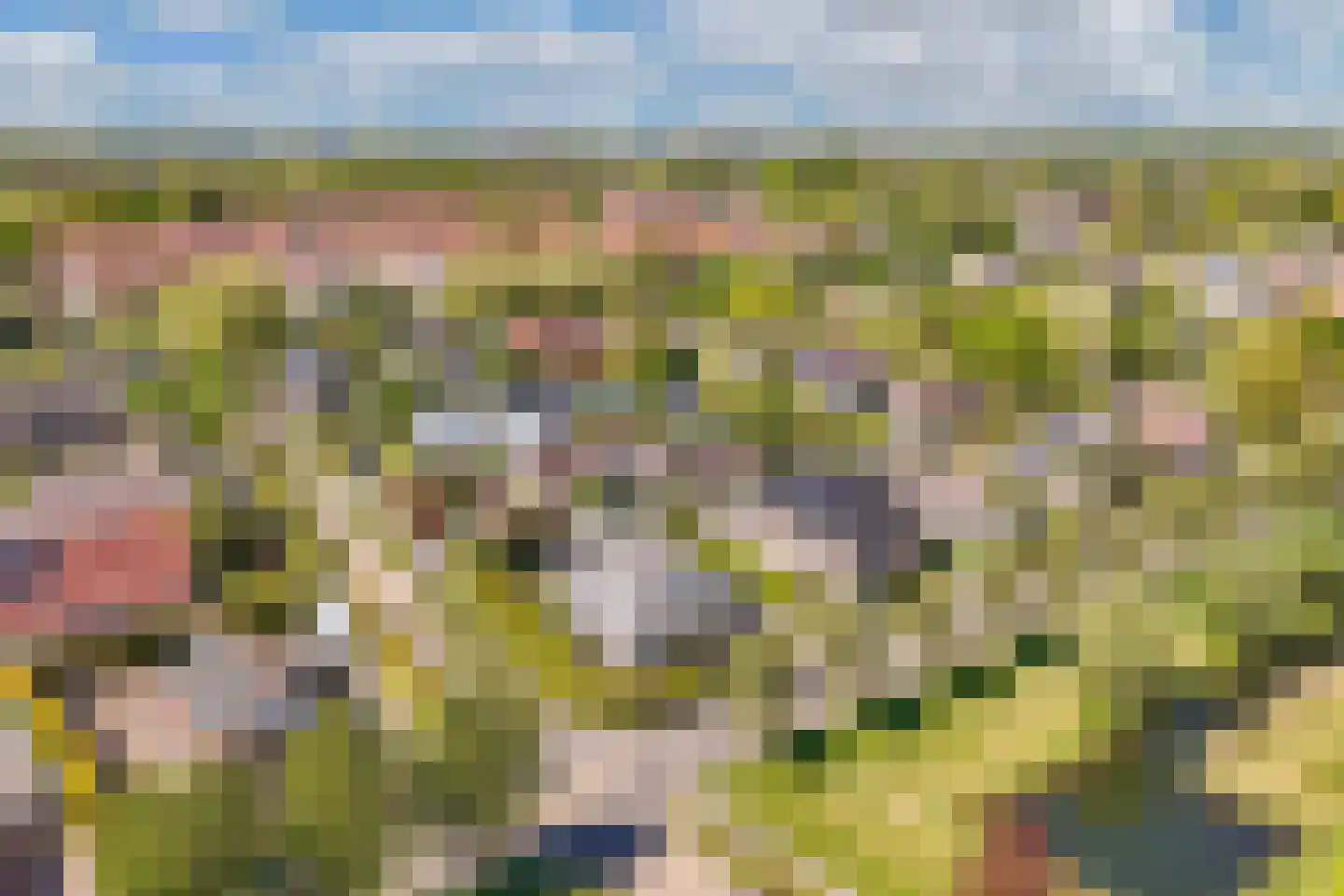 Trompenburgh 22 Lelystad thumbnail 7