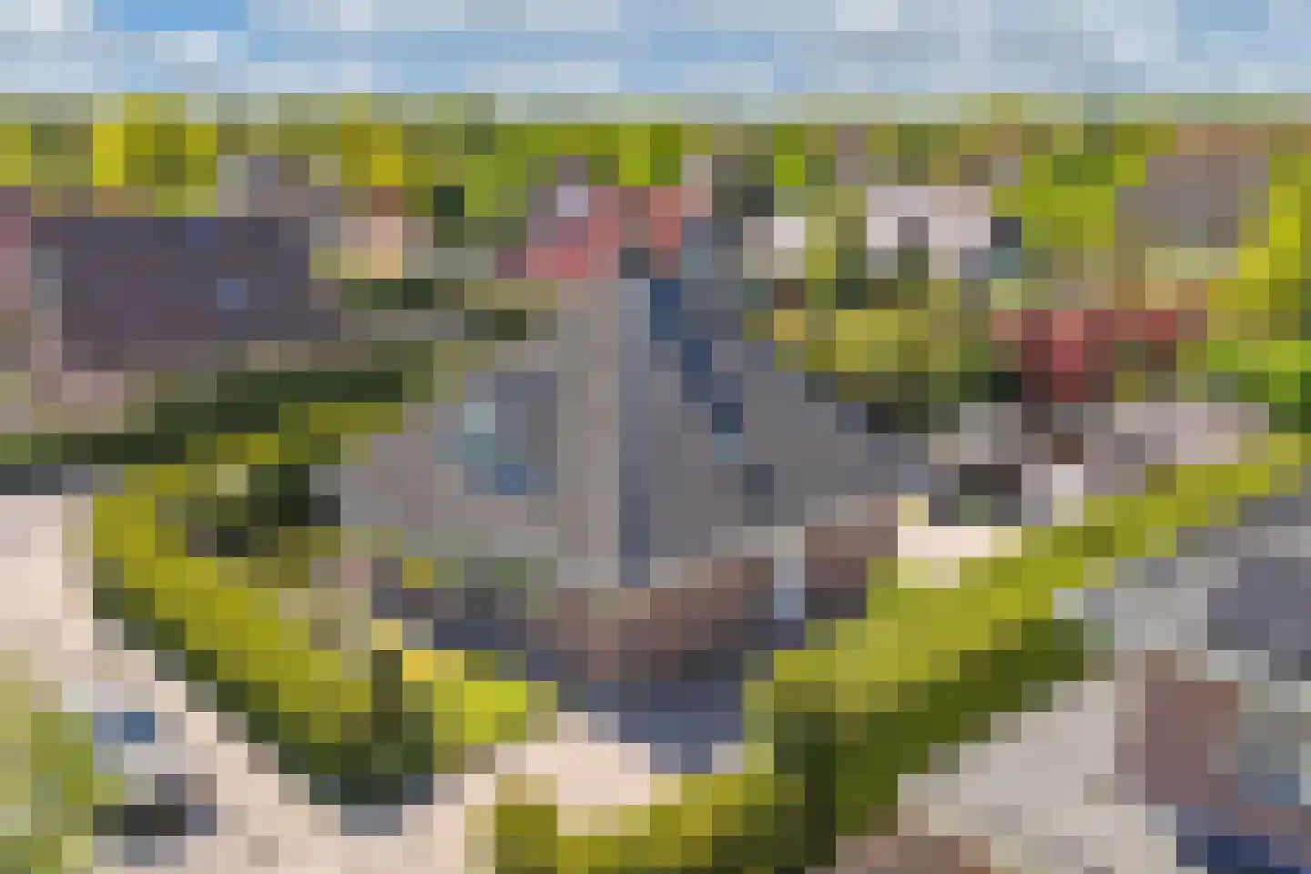 Trompenburgh 22 Lelystad thumbnail 8