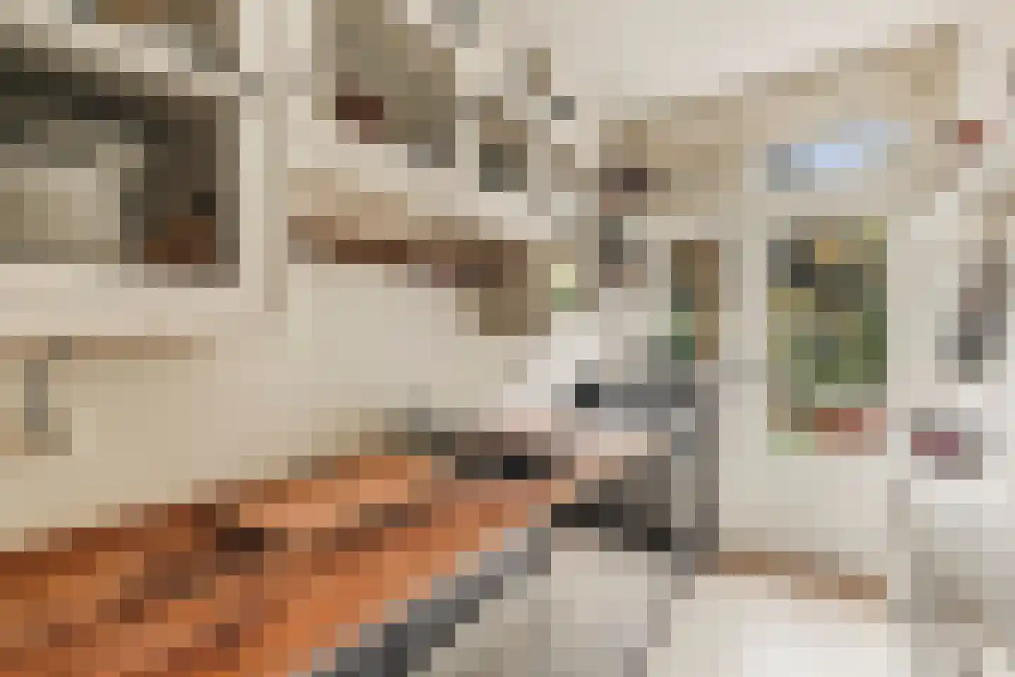Trompenburgstraat 107 H Amsterdam thumbnail 19