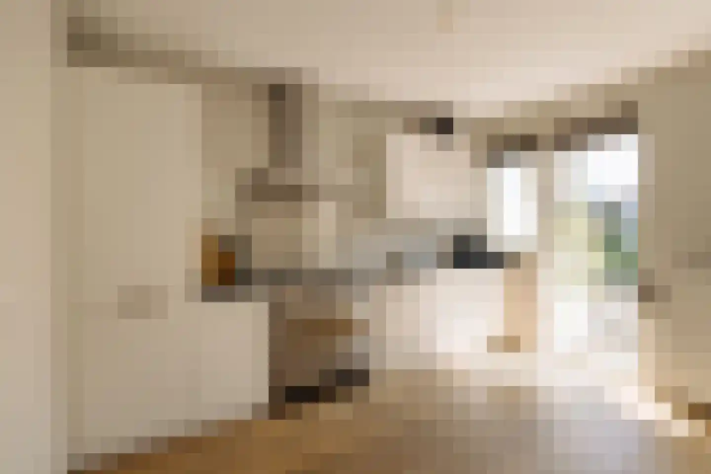 Trompenburgstraat 31 1 Amsterdam thumbnail 10