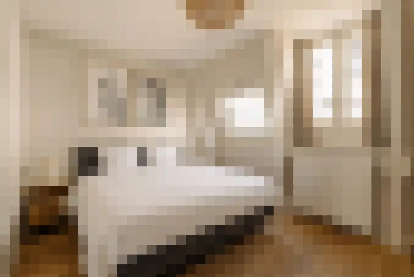 Trompenburgstraat 31 1 Amsterdam thumbnail 15