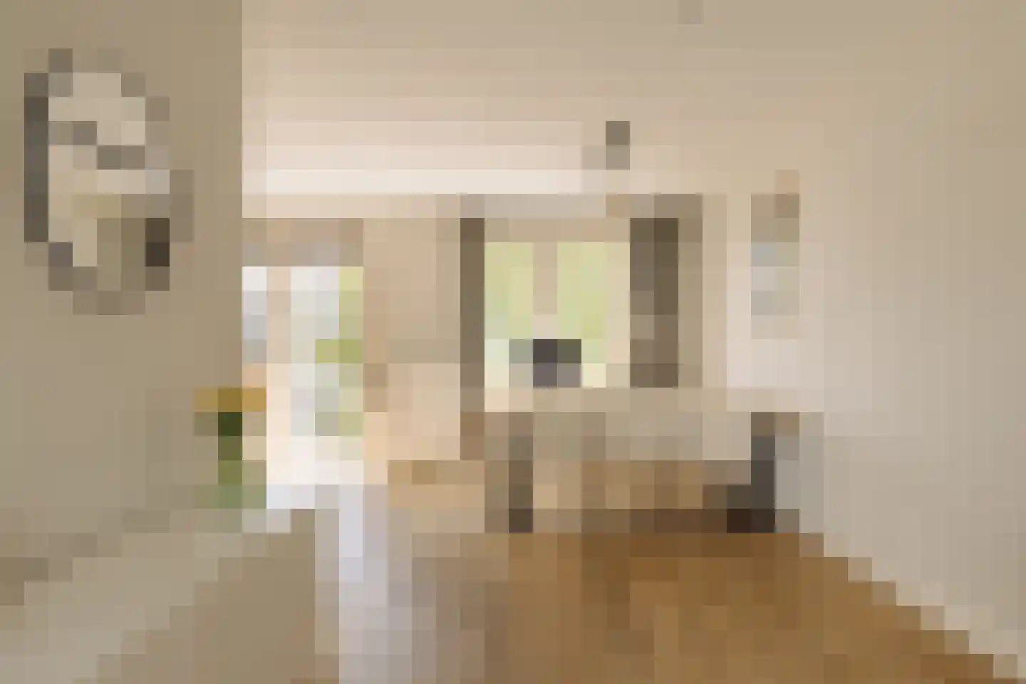 Trompenburgstraat 31 1 Amsterdam thumbnail 7