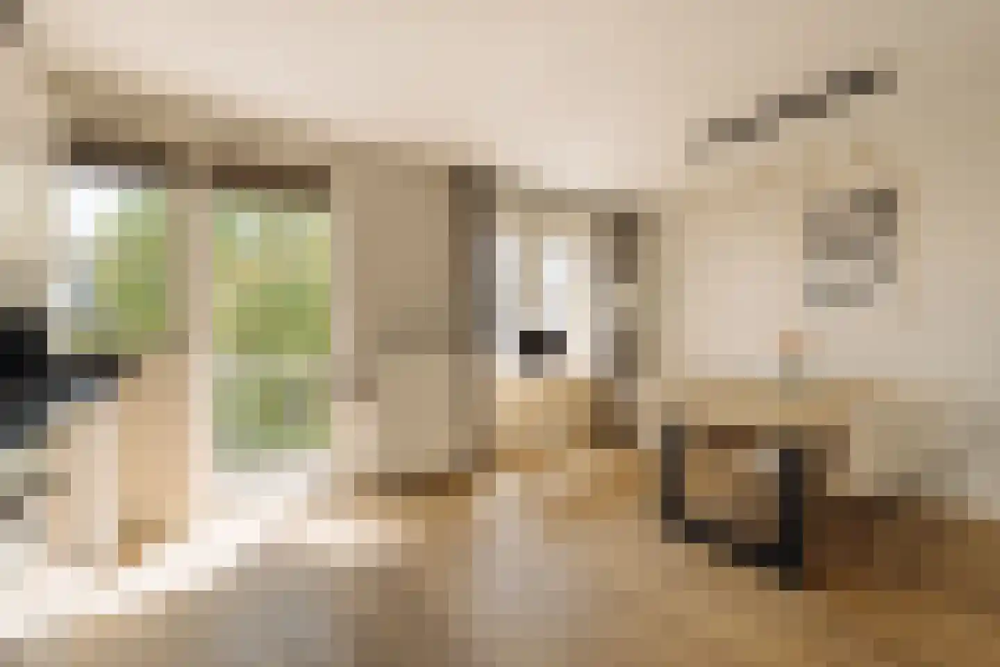 Trompenburgstraat 31 1 Amsterdam thumbnail 8