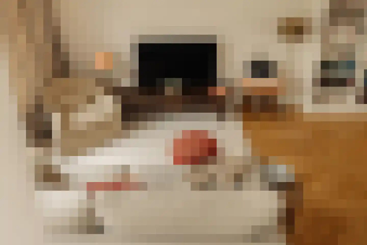 Trompenburgstraat 37 1 Amsterdam thumbnail 7
