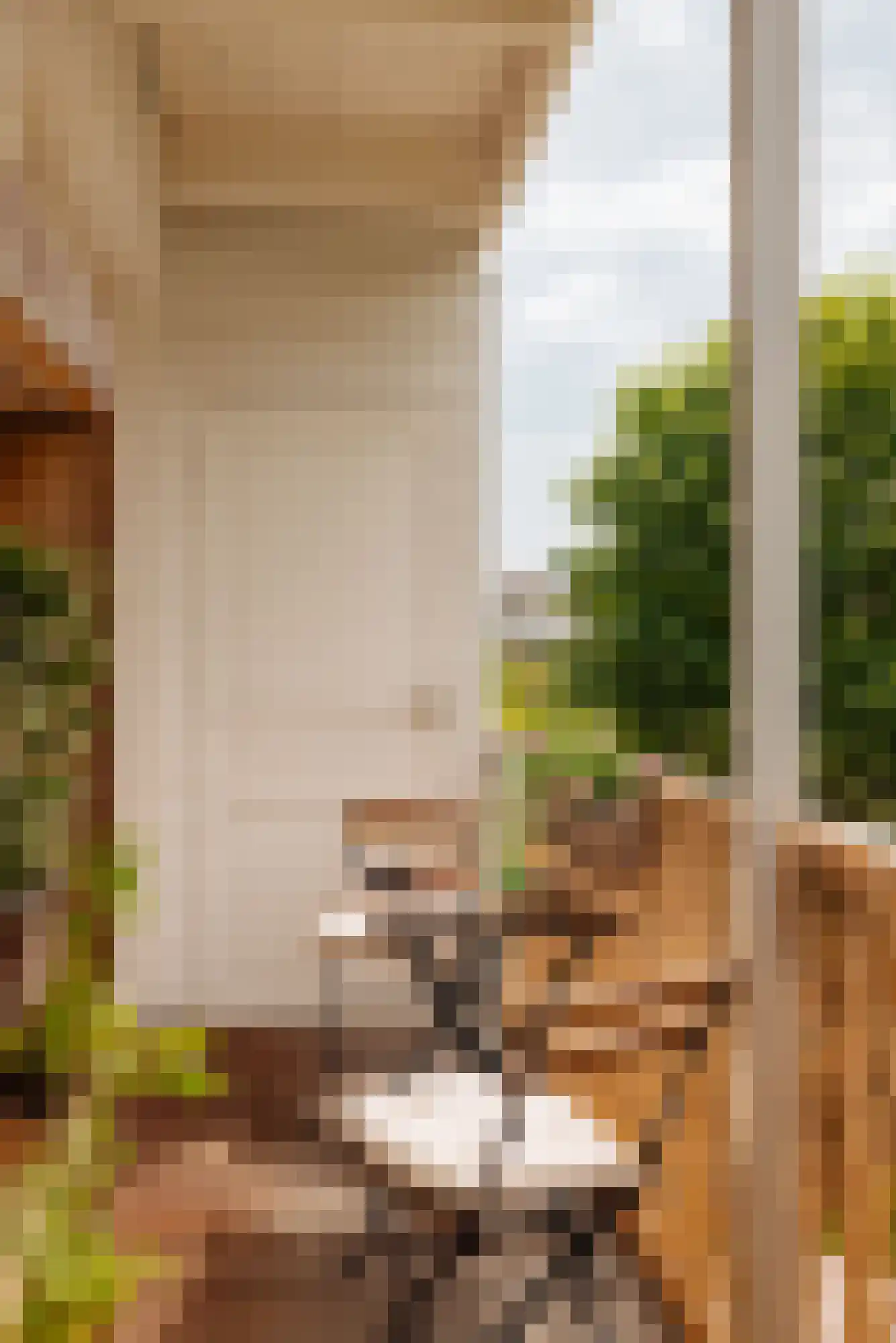 Trompenburgstraat 37 1 Amsterdam thumbnail 9