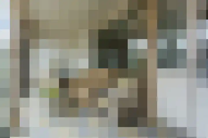 Trompet 120 's-Hertogenbosch thumbnail 30