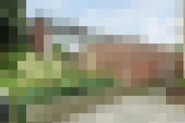 Trompet 120 's-Hertogenbosch thumbnail 36