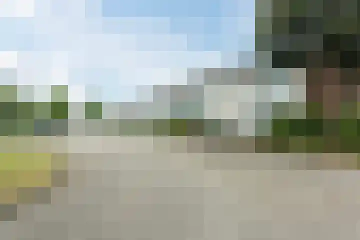 Trompet 120 's-Hertogenbosch thumbnail 40