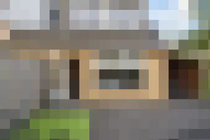 Trompet 2 De Lier thumbnail 14