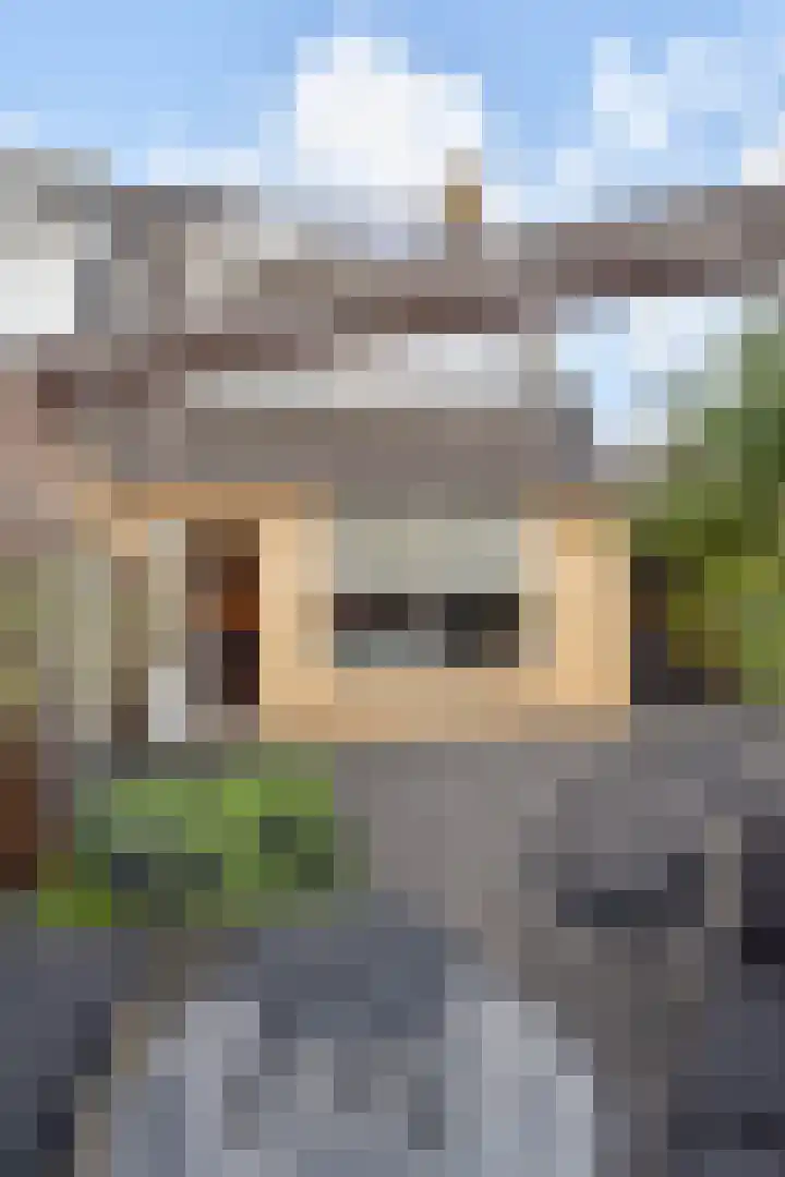 Trompet 2 De Lier thumbnail 41